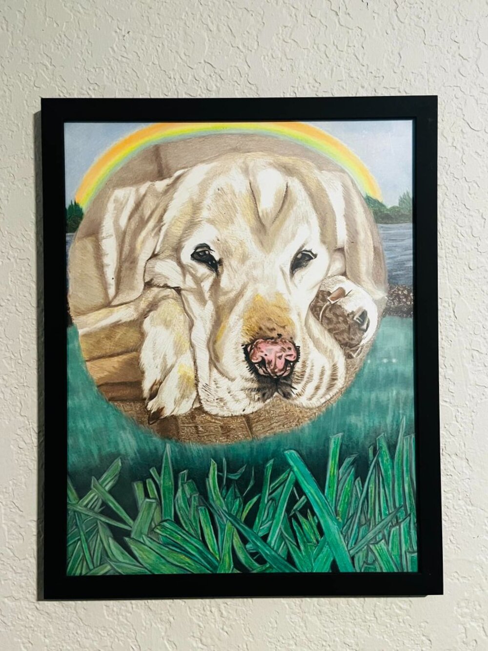 🎨 CUSTOM Pet Portraits | Hand Drawn from Your Photo | Memorial & Gift Artwork - Picture 5 of 8
